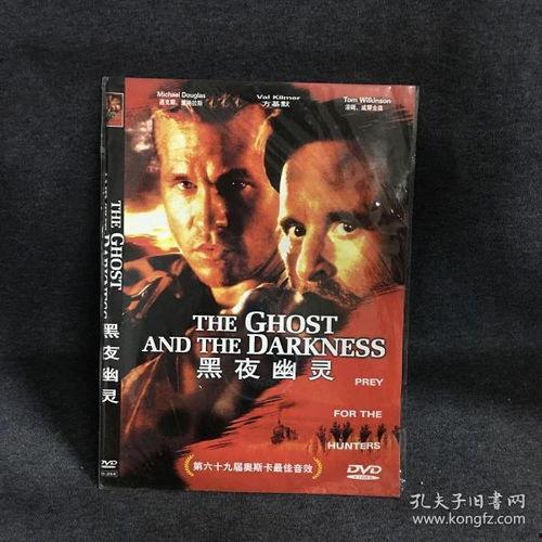 电影黑夜幽灵免费观看,免费观影之旅，揭秘神秘幽灵之谜