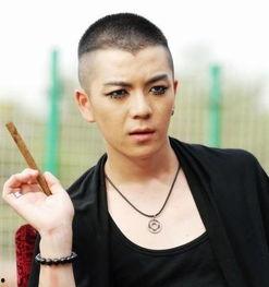 男明星男男视,男明星的男男视魅力解析