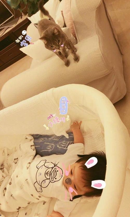 李晟老公全家福,幸福家庭温馨瞬间