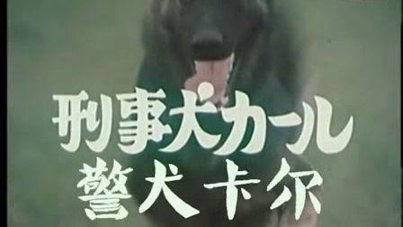日本电视剧警犬卡尔,忠诚守护，正义同行